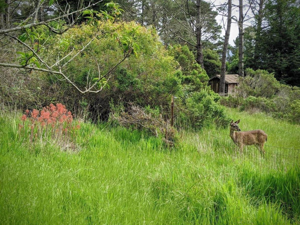 Villa The Quail'S Nest Retreat Point Reyes Station Esterno foto